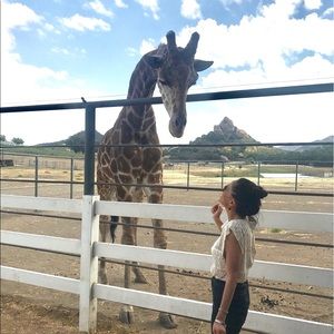 Meet your Posher, Sophia